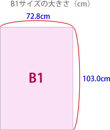 B1のサイズ縦横の大きさ（cm）