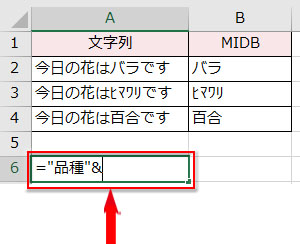 MIDB関数の先頭に置くテキストと結合演算子を="品種"&と入力